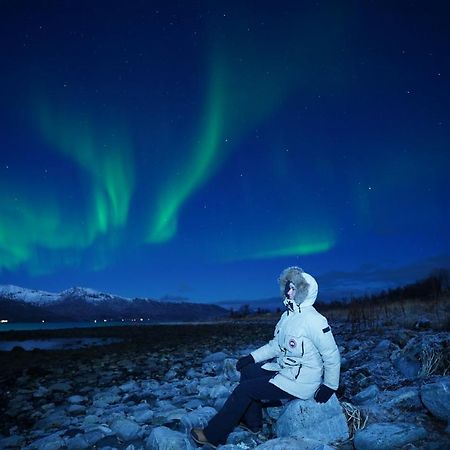 Arctic Rooms Rektor Tromsø Exteriér fotografie