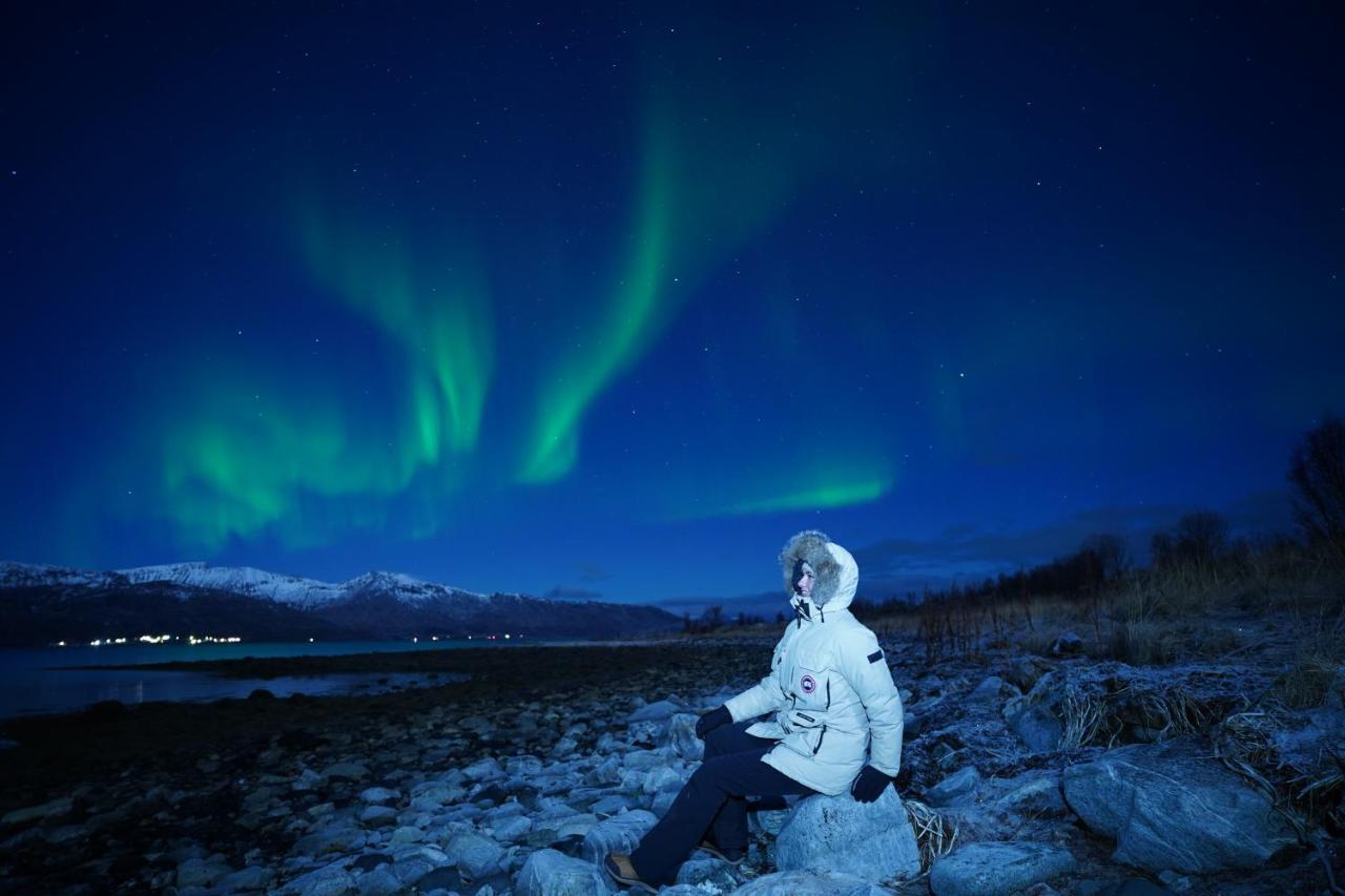 Arctic Rooms Rektor Tromsø Exteriér fotografie